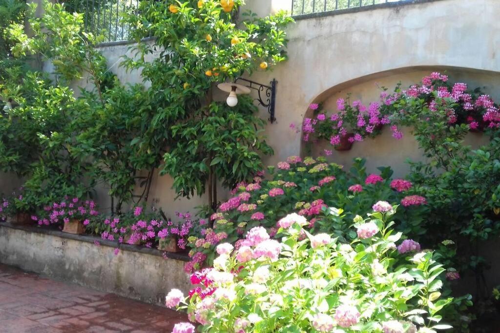 Apartment In Luxuryproperty Privatepool Garden Bbq Airc X8 Castelnuovo Di Porto ภายนอก รูปภาพ
